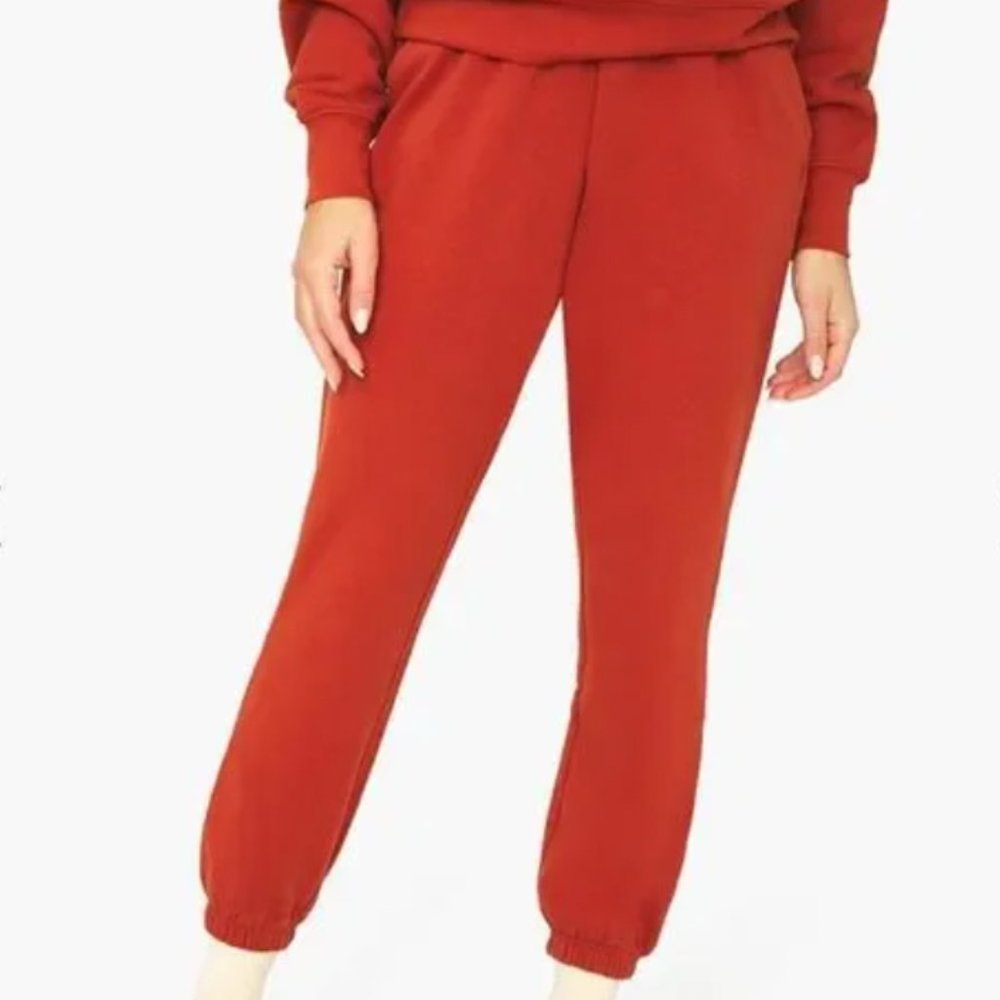 WeWoreWhat Rust Sweatpant jogger